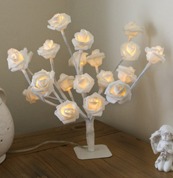 Декоративен храст  с бели светещи рози